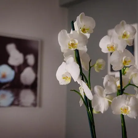 Haus Viktoria 2 Limenas (Thasos)