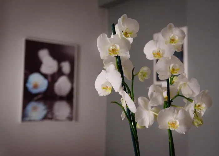 Haus Viktoria 2 萨索斯